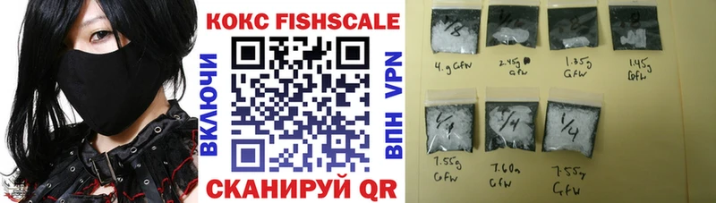 Купить закладки  Нефтегорск  COCAIN Fish Scale 