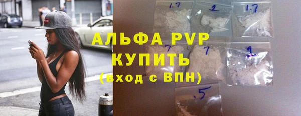 твердый Богданович