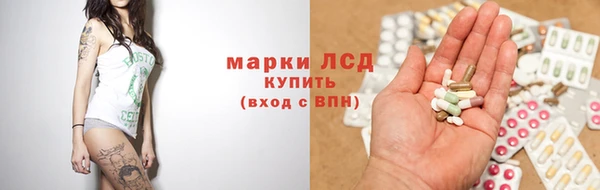 твердый Богданович