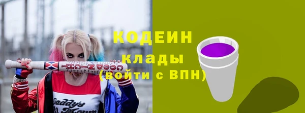 твердый Богданович