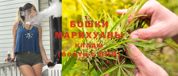твердый Богданович