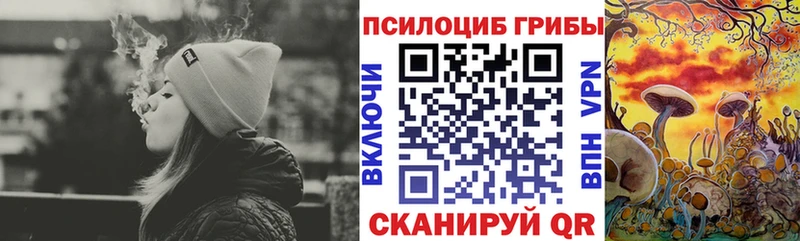 Купить где Нефтегорск Псилоцибиновые грибы GOLDEN TEACHER